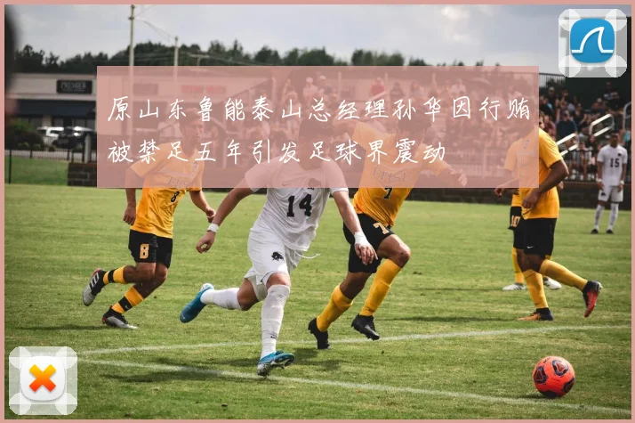 原山东鲁能泰山总经理孙华因行贿被禁足五年引发足球界震动
